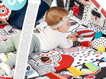 Speelkleed en Ballenbak 2in1 voor baby's - 4Smart-mercibeaucoupp.eu
