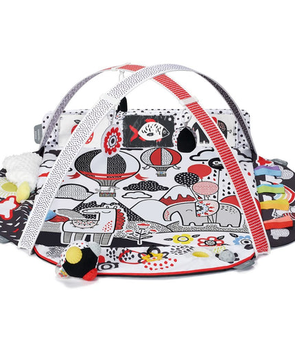 Speelkleed en Ballenbak 2in1 voor baby's - 4Smart-mercibeaucoupp.eu