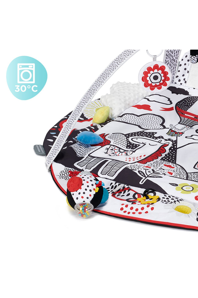 Speelkleed en Ballenbak 2in1 voor baby's - 4Smart-mercibeaucoupp.eu