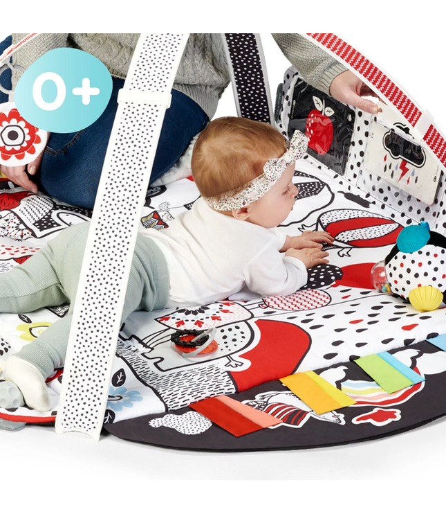 Playmat and Ballpit 2in1 for Babies - 4Smart