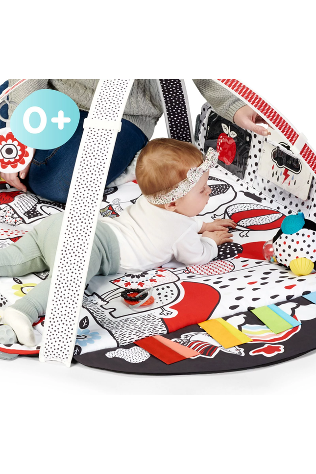 Speelkleed en Ballenbak 2in1 voor baby's - 4Smart-mercibeaucoupp.eu
