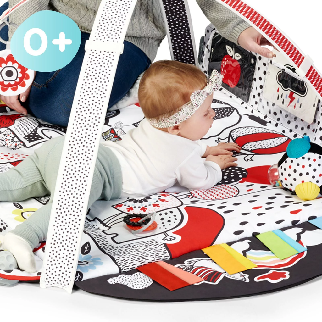 Speelkleed en Ballenbak 2in1 voor baby's - 4Smart-mercibeaucoupp.eu