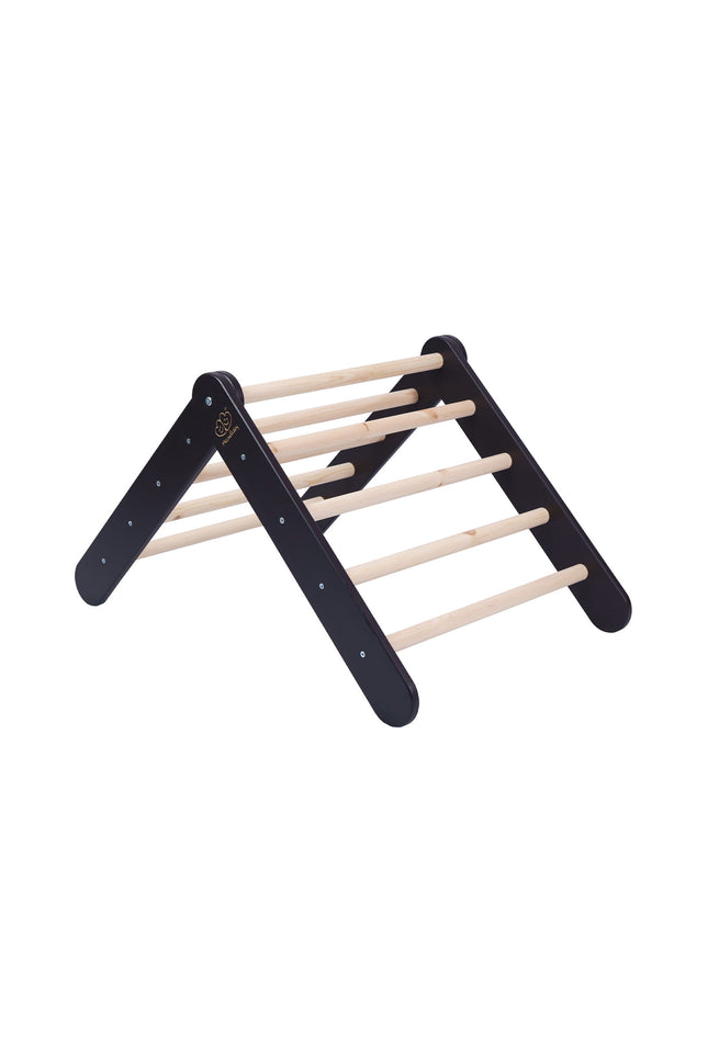 Ladder met glijbaan-klimwand - Zwart-mercibeaucoupp.eu