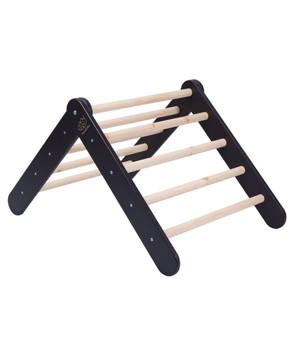 Houten Pikler klimladder - Zwart-mercibeaucoupp.eu