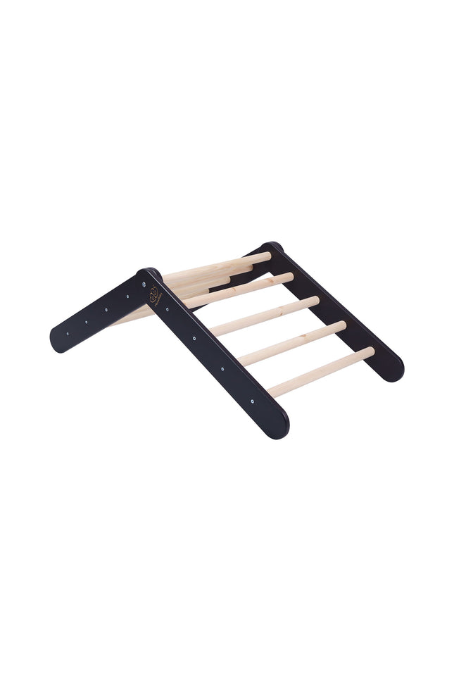 Ladder met glijbaan-klimwand - Zwart-mercibeaucoupp.eu
