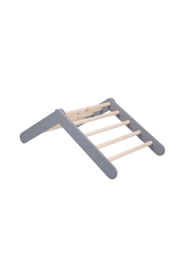 Ladder met glijbaan-klimwand - Grijs-mercibeaucoupp.eu