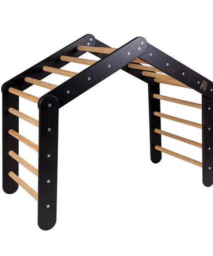 Groot zwart ladderhuis met roze hoes-mercibeaucoupp.eu