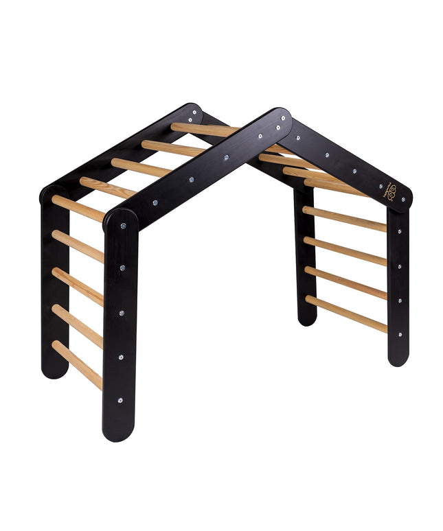 Groot zwart ladderhuis met roze hoes-mercibeaucoupp.eu