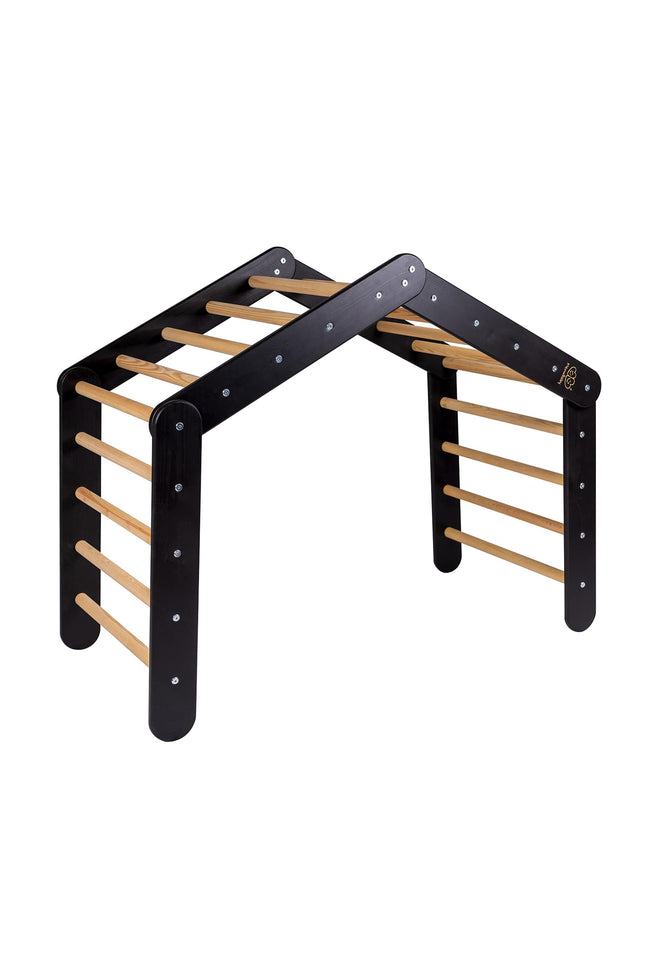 Groot zwart ladderhuis met roze hoes-mercibeaucoupp.eu