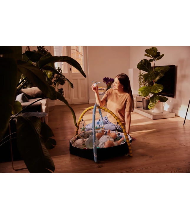 Playmat and Ballpit 2in1 for Babies - Smartplay Sea