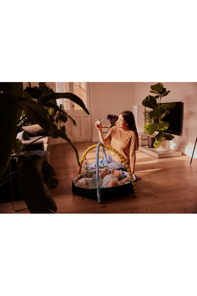 Speelkleed en Ballenbak 2in1 voor Baby's - Smartplay Zee-mercibeaucoupp.eu