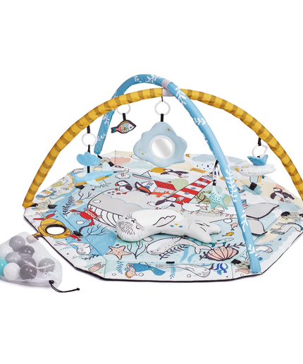 Speelkleed en Ballenbak 2in1 voor Baby's - Smartplay Zee-mercibeaucoupp.eu