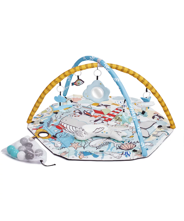Speelkleed en Ballenbak 2in1 voor Baby's - Smartplay Zee-mercibeaucoupp.eu