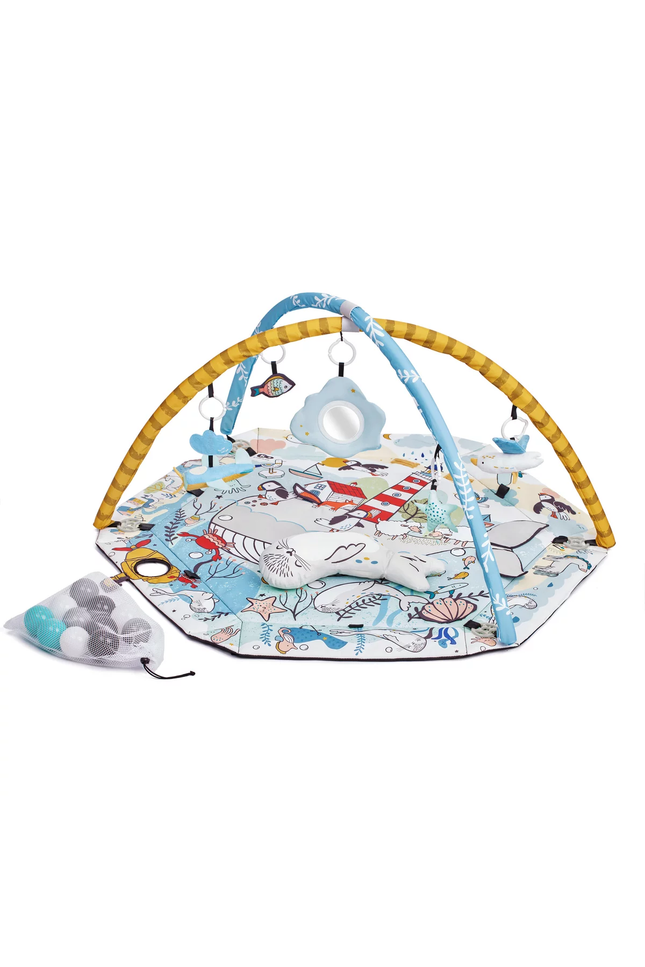 Speelkleed en Ballenbak 2in1 voor Baby's - Smartplay Zee-mercibeaucoupp.eu