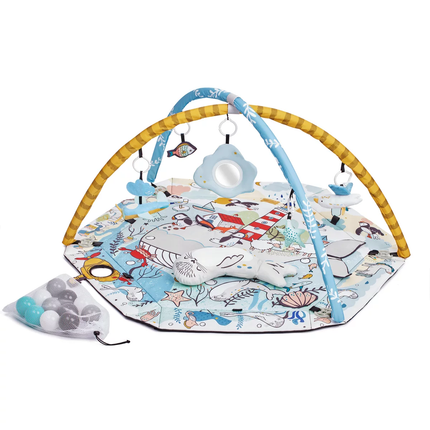 Speelkleed en Ballenbak 2in1 voor Baby's - Smartplay Zee-mercibeaucoupp.eu
