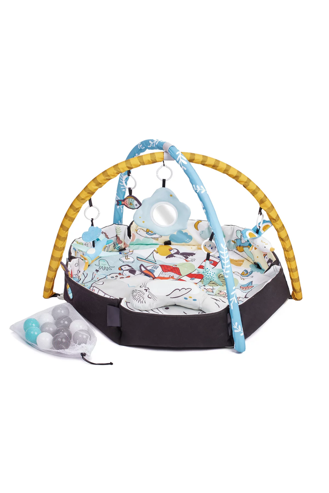 Speelkleed en Ballenbak 2in1 voor Baby's - Smartplay Zee-mercibeaucoupp.eu