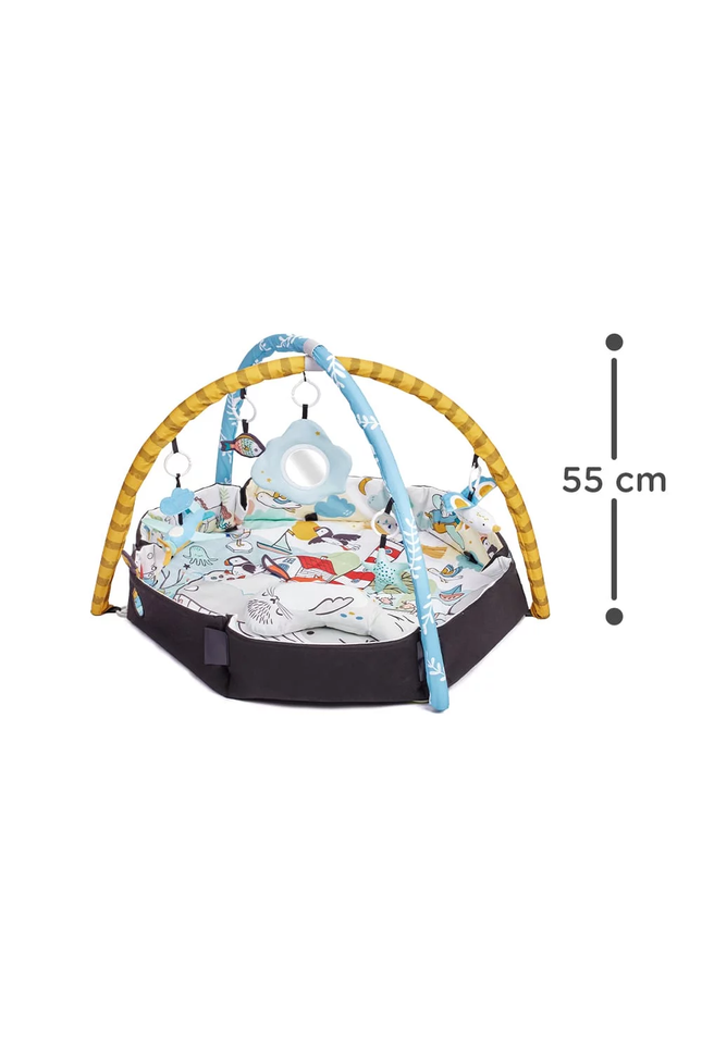 Speelkleed en Ballenbak 2in1 voor Baby's - Smartplay Zee-mercibeaucoupp.eu