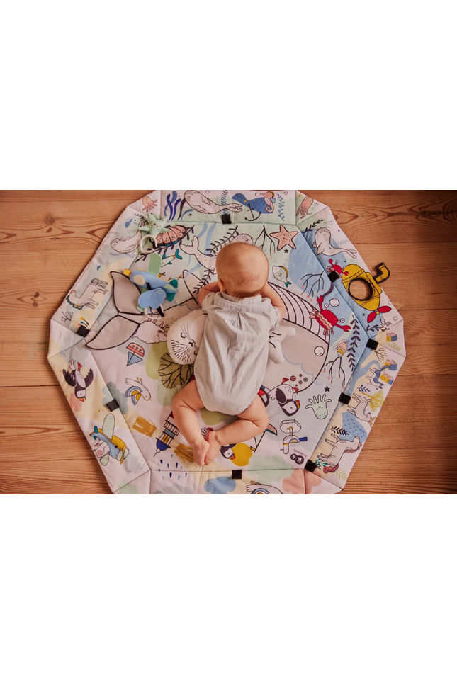 Speelkleed en Ballenbak 2in1 voor Baby's - Smartplay Zee-mercibeaucoupp.eu