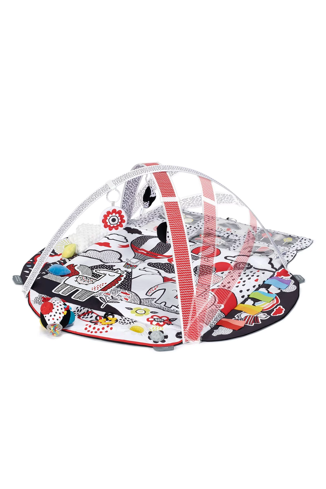 Speelkleed en Ballenbak 2in1 voor baby's - 4Smart-mercibeaucoupp.eu